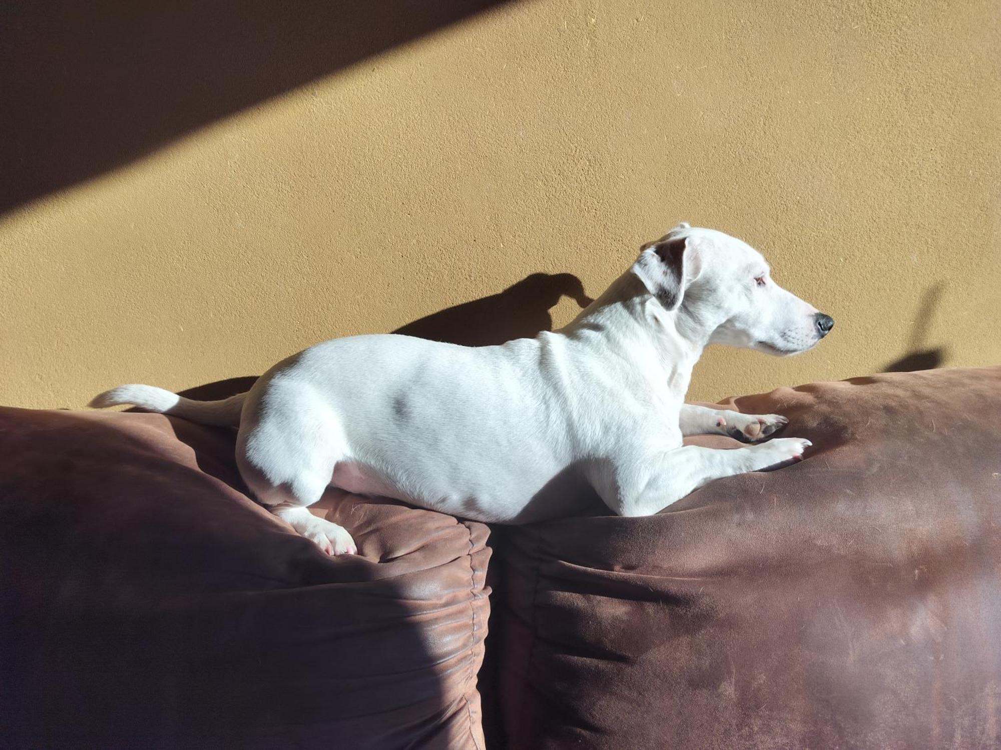 Gee Is Sharing Her Home لييج المظهر الخارجي الصورة
